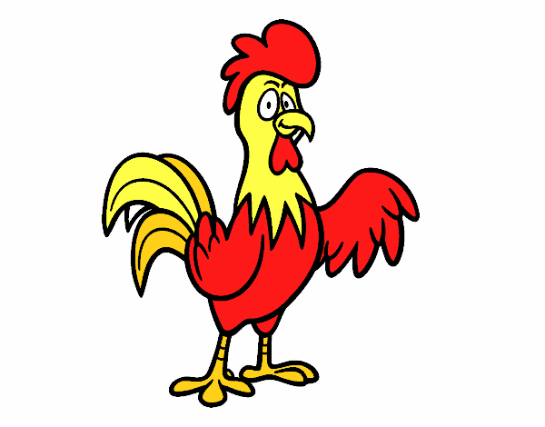 Un gallo de corral