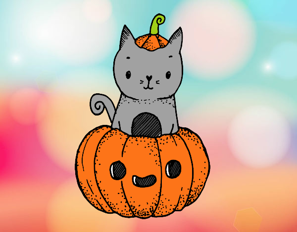 Un gatito de Halloween