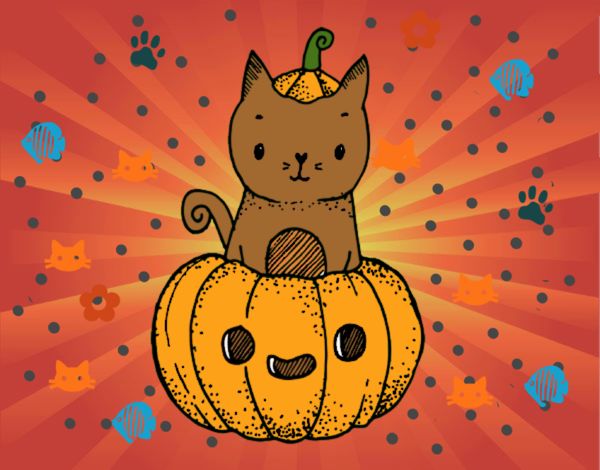 Un gatito de Halloween