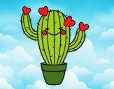 Cactus corazón