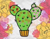 Cactus nopal