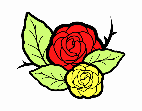 Dos rosas