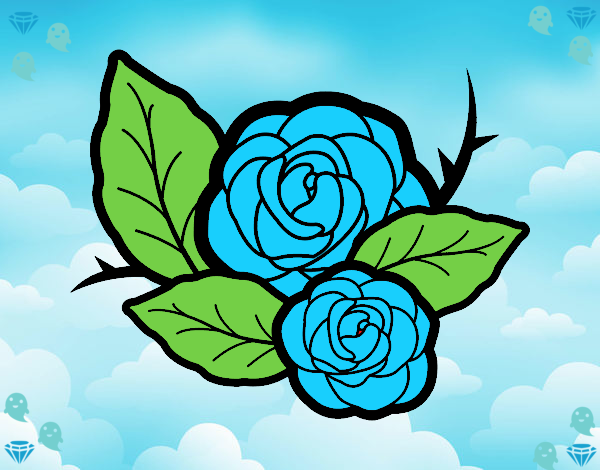 Dos rosas