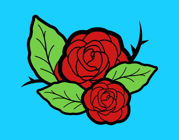 Dos rosas