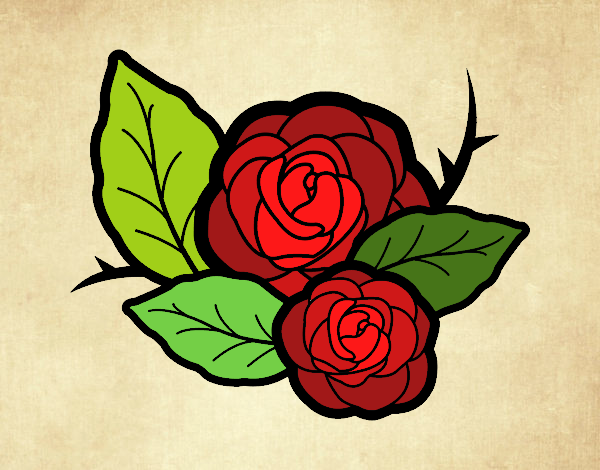 Dos rosas