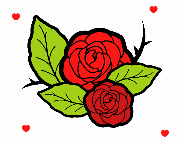 Dos rosas