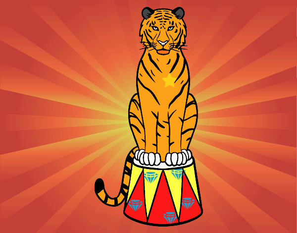 Tigre de circo