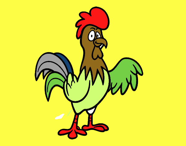 Un gallo de corral