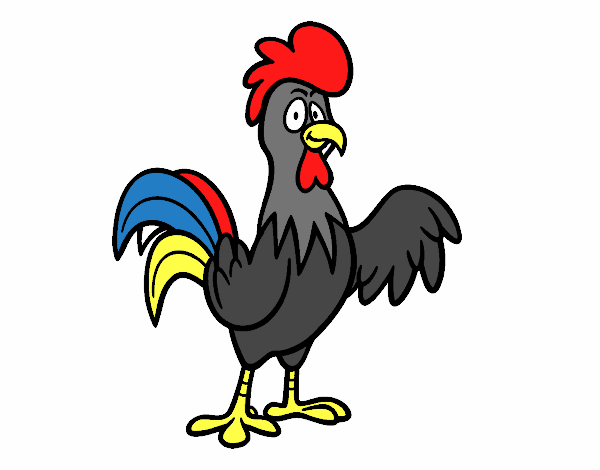 Un gallo de corral