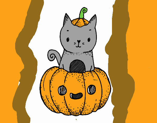 Un gatito de Halloween