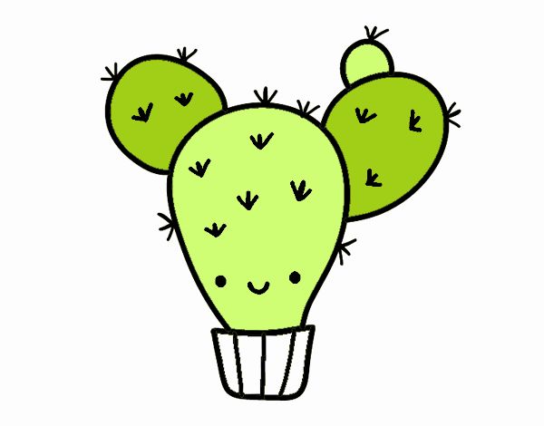 Cactus nopal