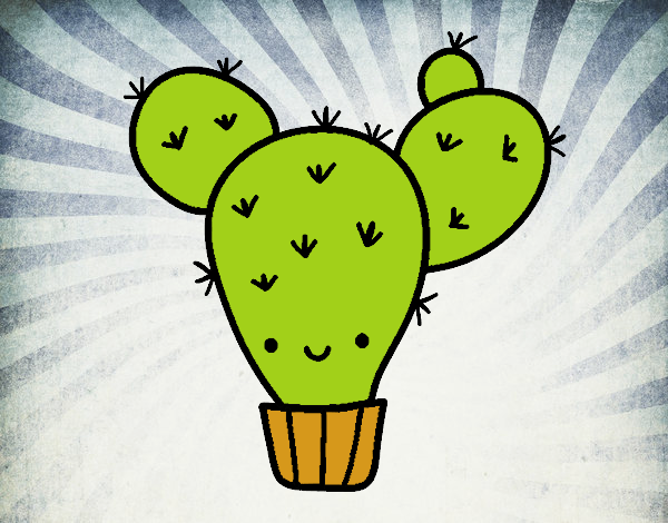 Cactus nopal