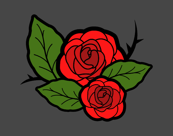 Dos rosas