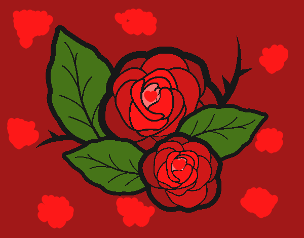 Dos rosas