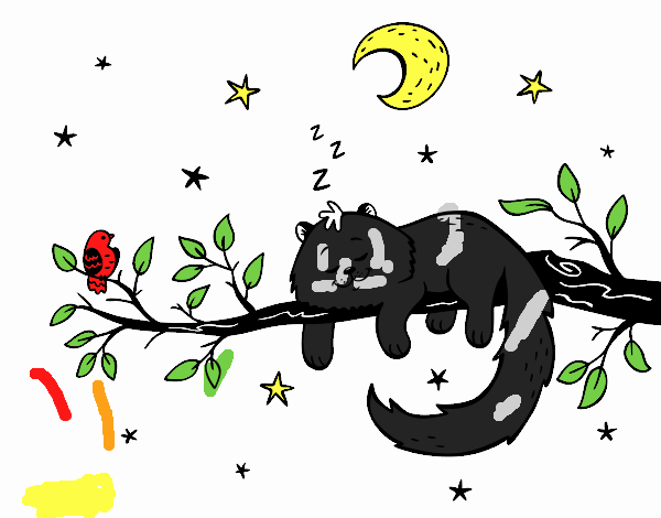 El gato y la luna