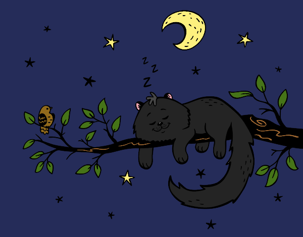 El gato y la luna