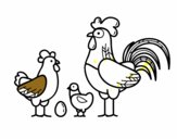 Familia gallina