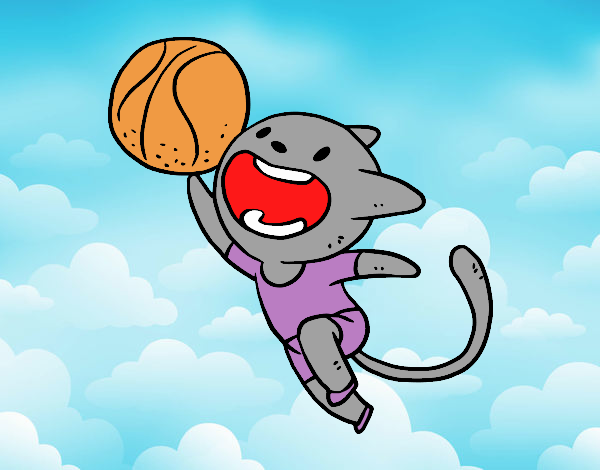 Gato jugando a baloncesto