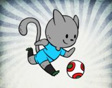 Gato jugando a fútbol