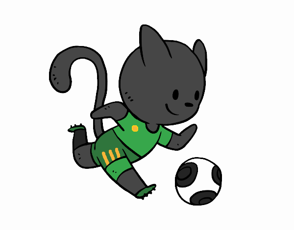 Gato jugando a fútbol