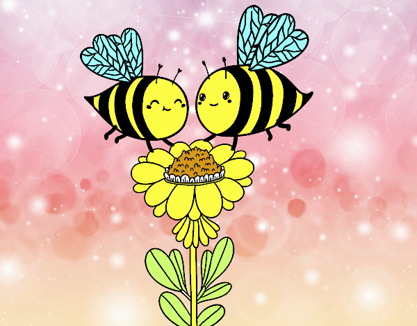 Pareja de abejas