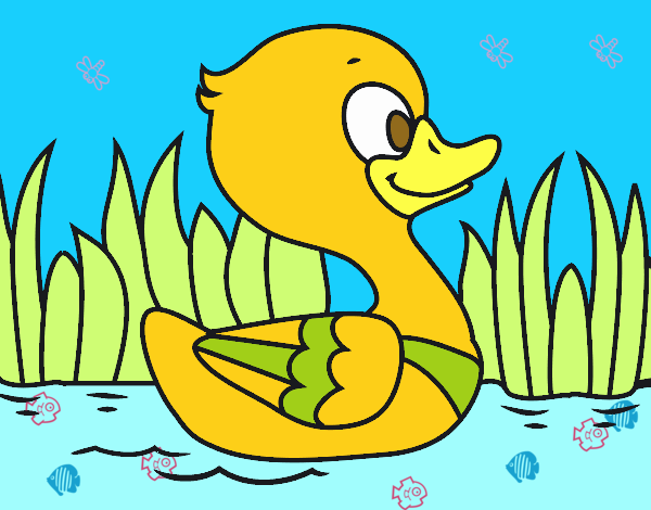 Patito de río