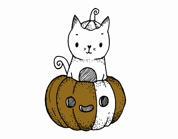 Un gatito de Halloween