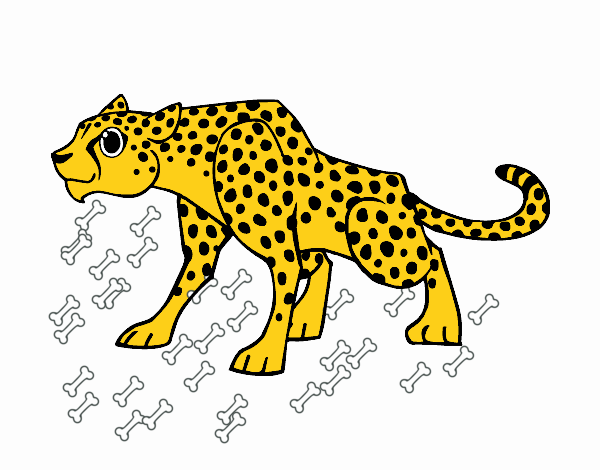 Un leopardo