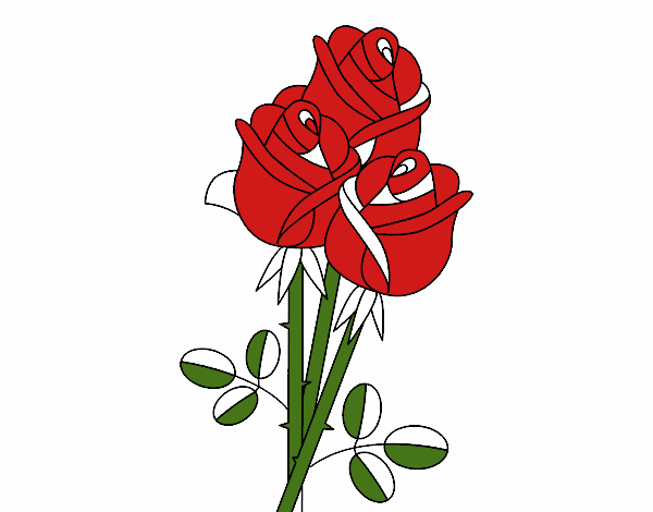 RAMODE ROSAS ROJAS