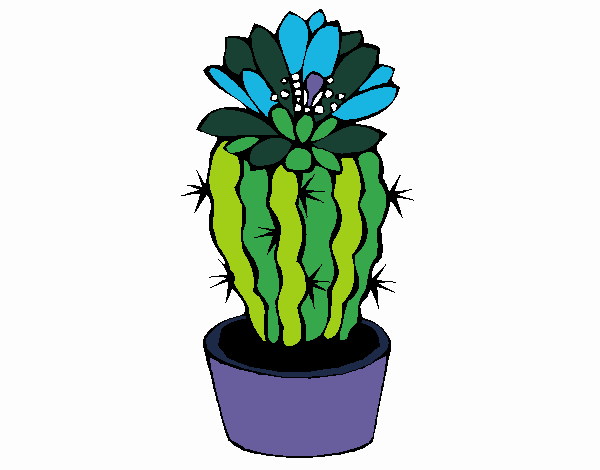 Cactus con flor