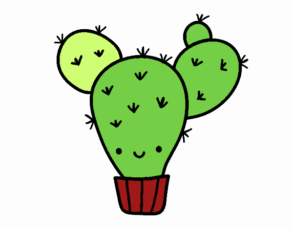 Cactus nopal