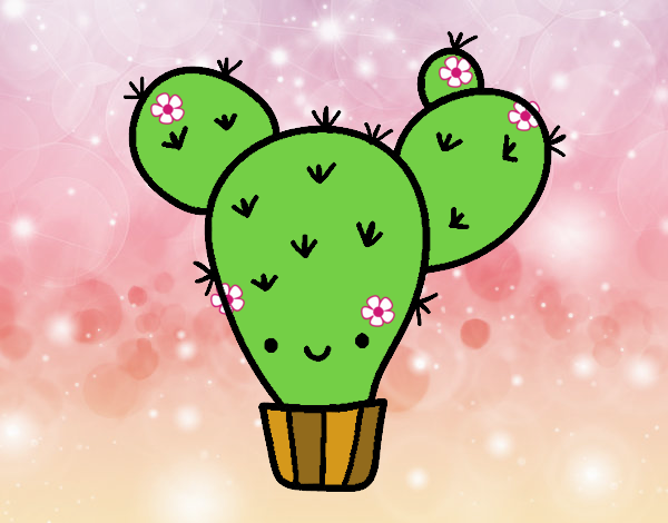 Cactus nopal