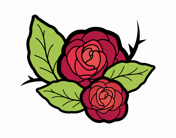 Dos rosas