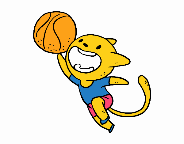 Gato jugando a baloncesto