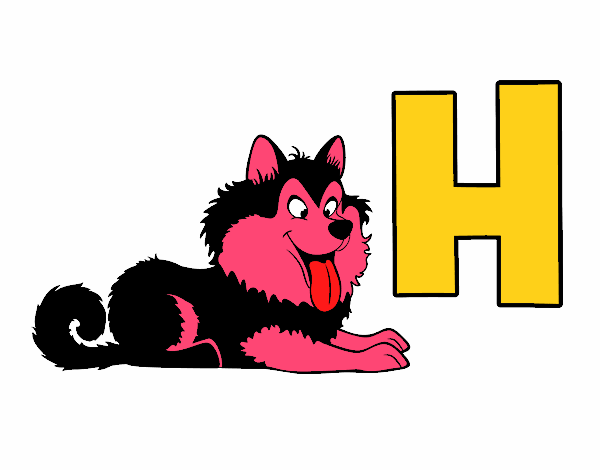 H de Husky