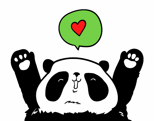 Panda enamorado