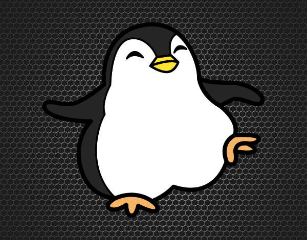 pingui 756