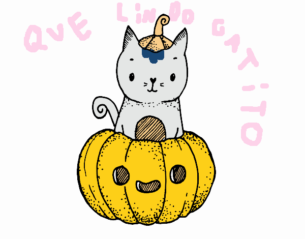 Un gatito de Halloween