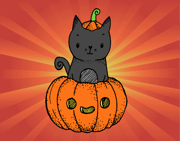 Un gatito de Halloween