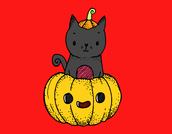 Un gatito de Halloween