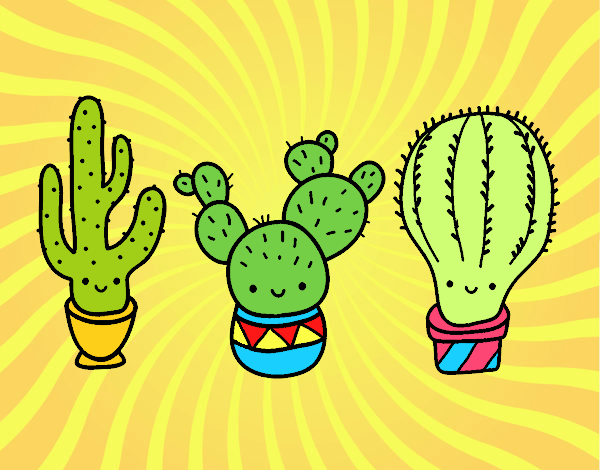 3 mini cactus