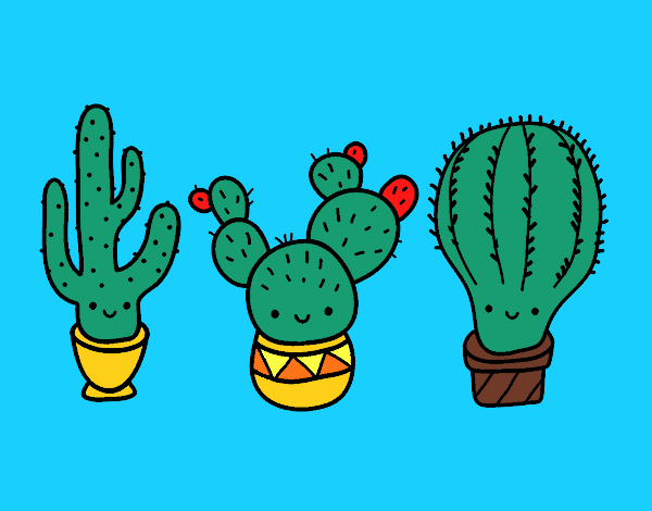 3 mini cactus