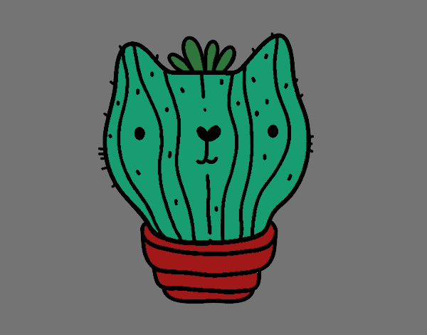 Cactus gato