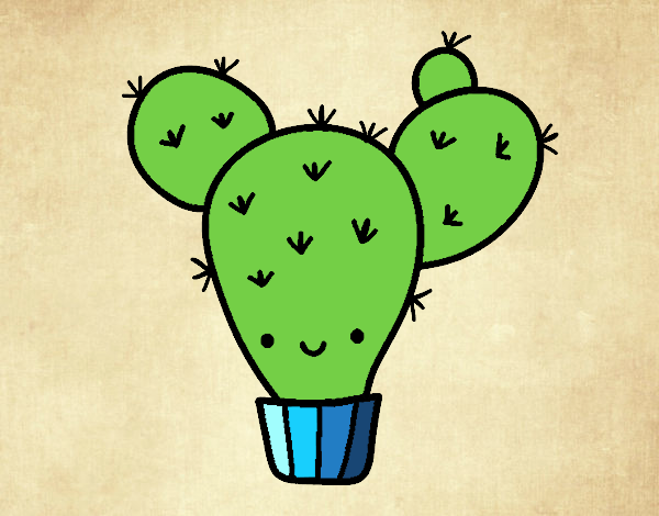 Cactus nopal