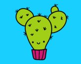 Cactus nopal