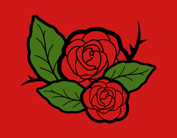 Dos rosas