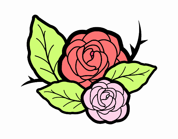 Dos rosas