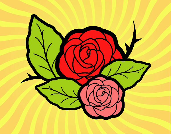 Dos rosas