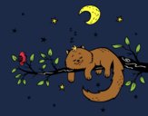 El gato y la luna