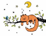 El gato y la luna